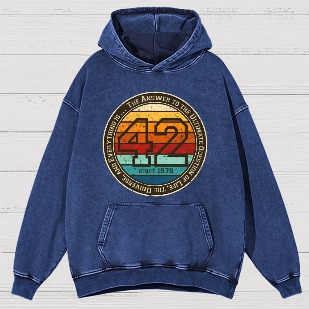 Forty-Two Vintage Vintage Distressed Hoodie