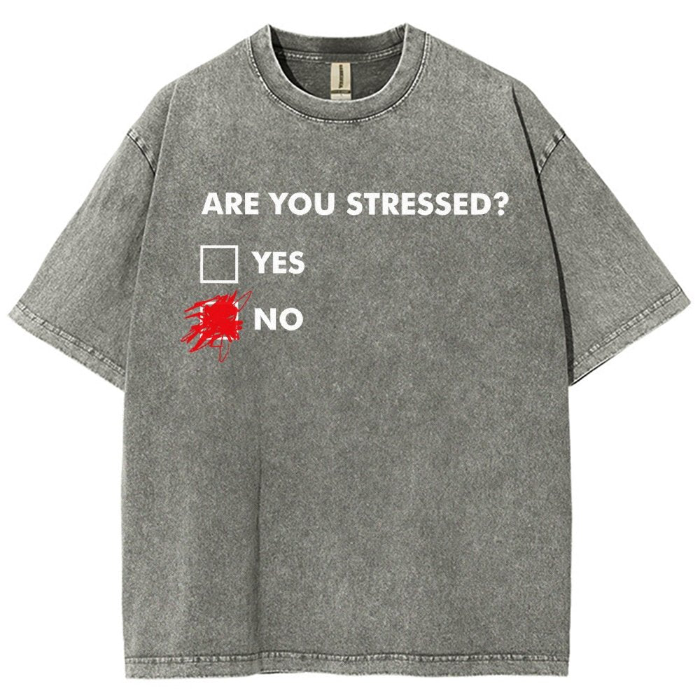 Fuuny Word Are You Stressed No Vintage Distressed T-shirt