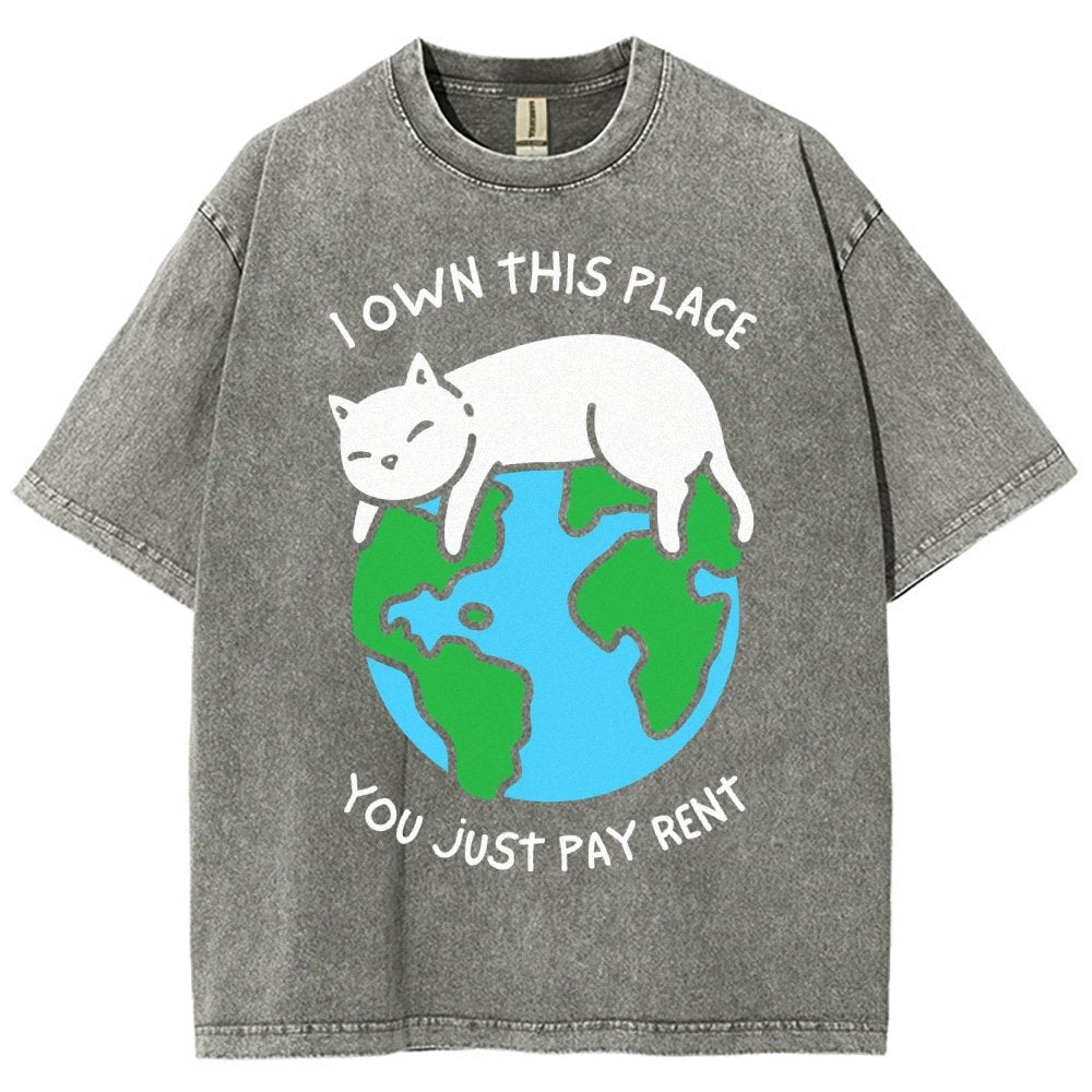 I Own This Place Vintage Distressed T-shirt