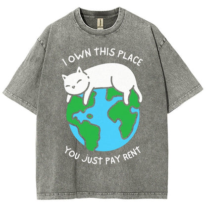 I Own This Place Vintage Distressed T-shirt