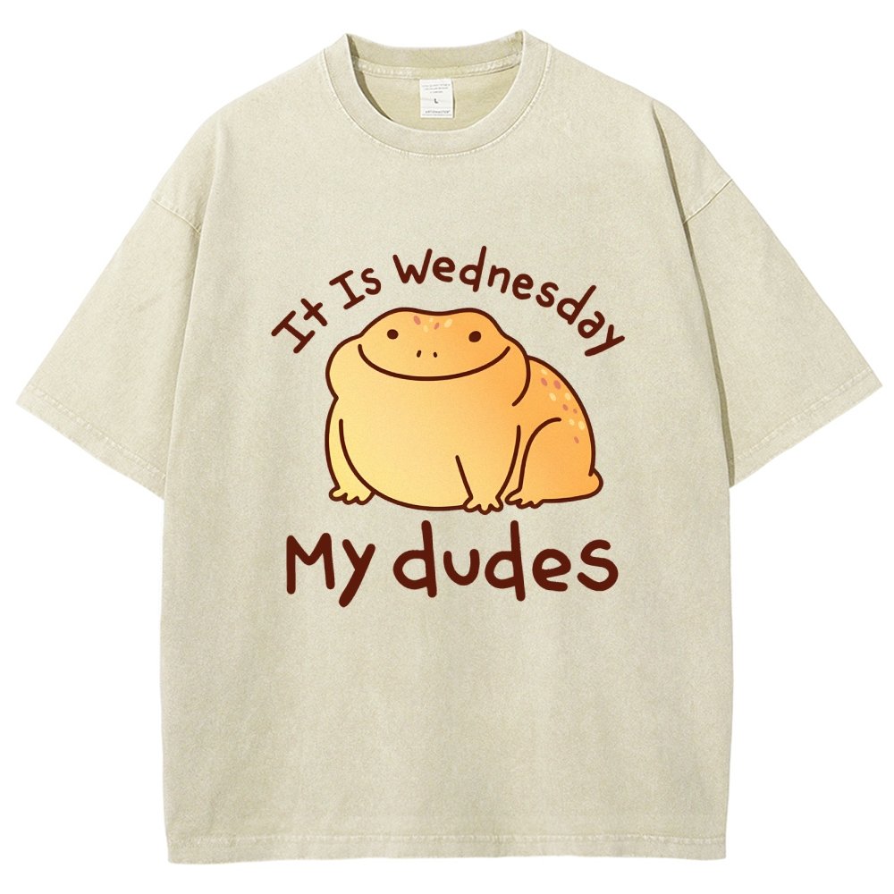 It's Wednesday My Dudes Vintage Distressed T-shirt