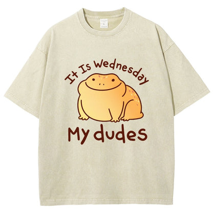 It's Wednesday My Dudes Vintage Distressed T-shirt