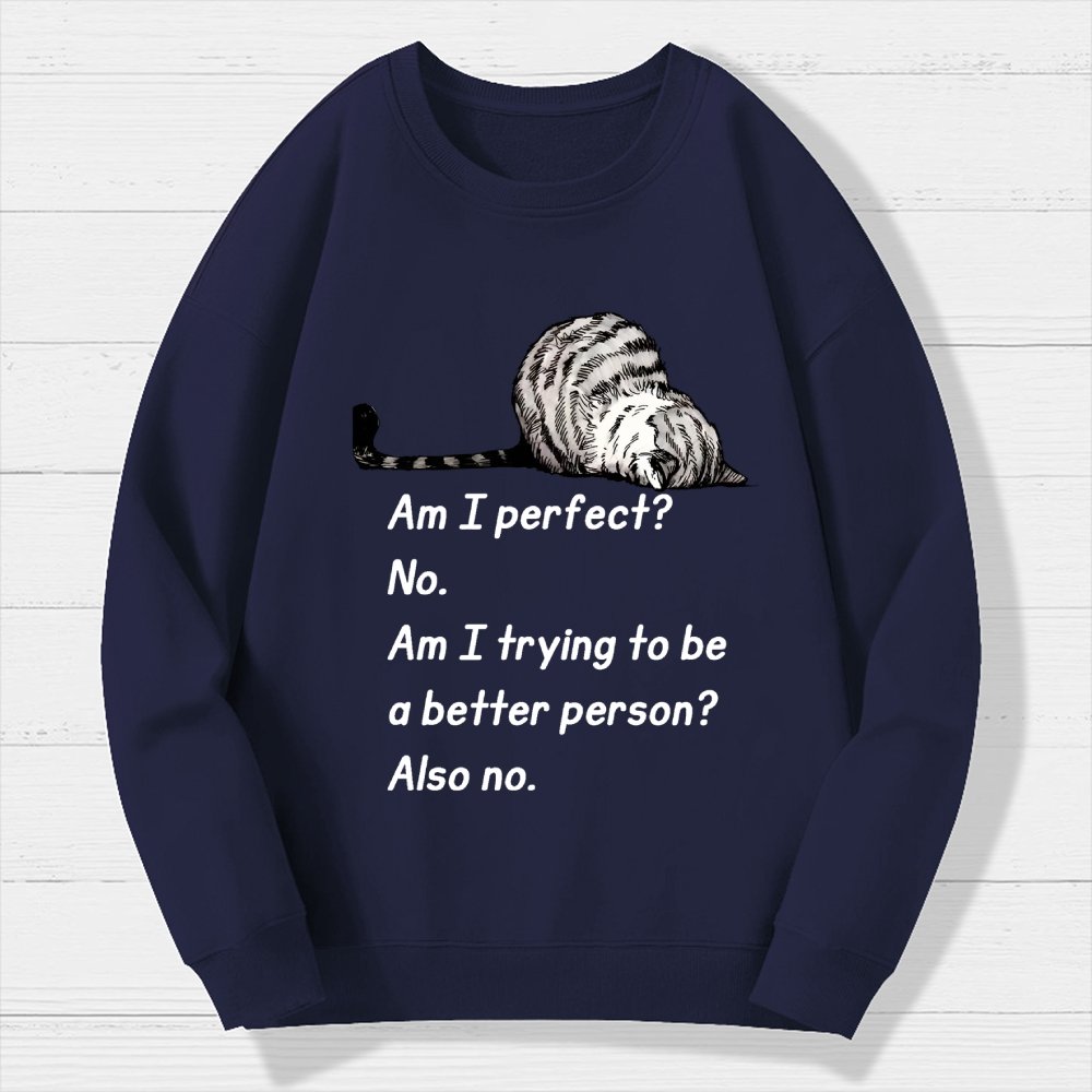 Am I Perfect No Geek Cotton Sweatshirt