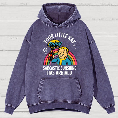 Your Little Ray Of Sarcastic Sunshine Has Arrived Vintage Distressed Hoodie