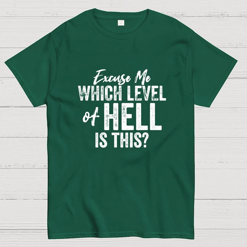 Excuse Me Which Level of Hell is This？Geek T-Shirt
