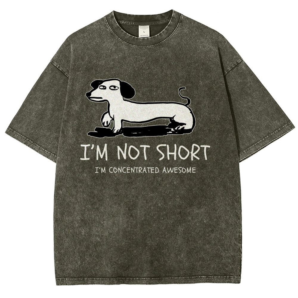 I'm Not Short Vintage Distressed T-shirt