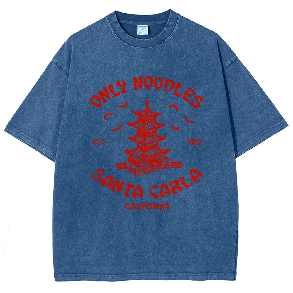 Only Noodles Frostville Vintage Distressed T-shirt