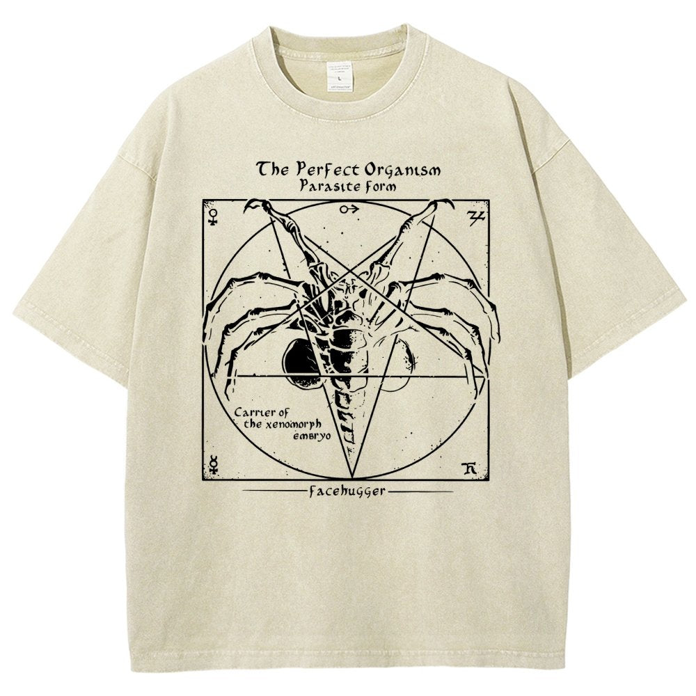 Mystery Pentagram Vintage Distressed T-shirt