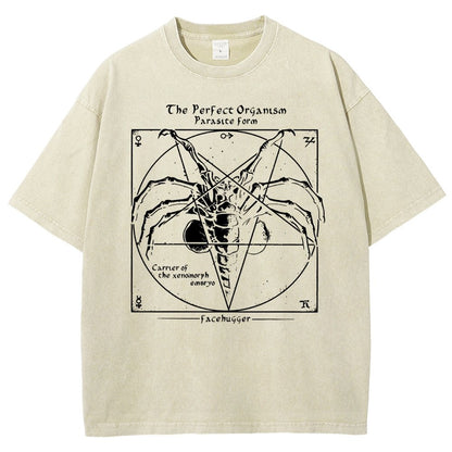 Mystery Pentagram Vintage Distressed T-shirt