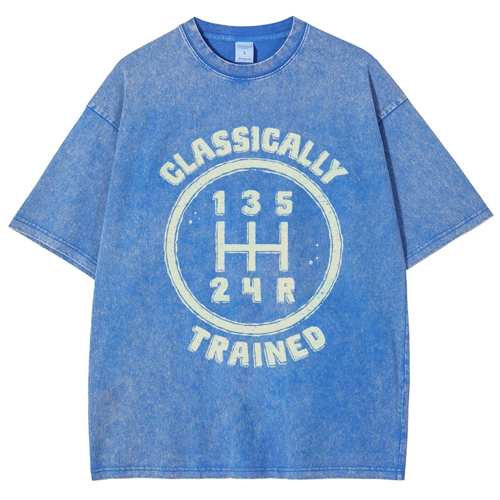 Classically Trained Vintage Distressed T-shirt