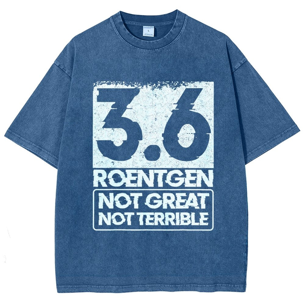 3.6 Roentgen Not Great Not Terrible Vintage Distressed T-shirt