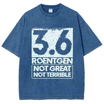 3.6 Roentgen Not Great Not Terrible Vintage Distressed T-shirt
