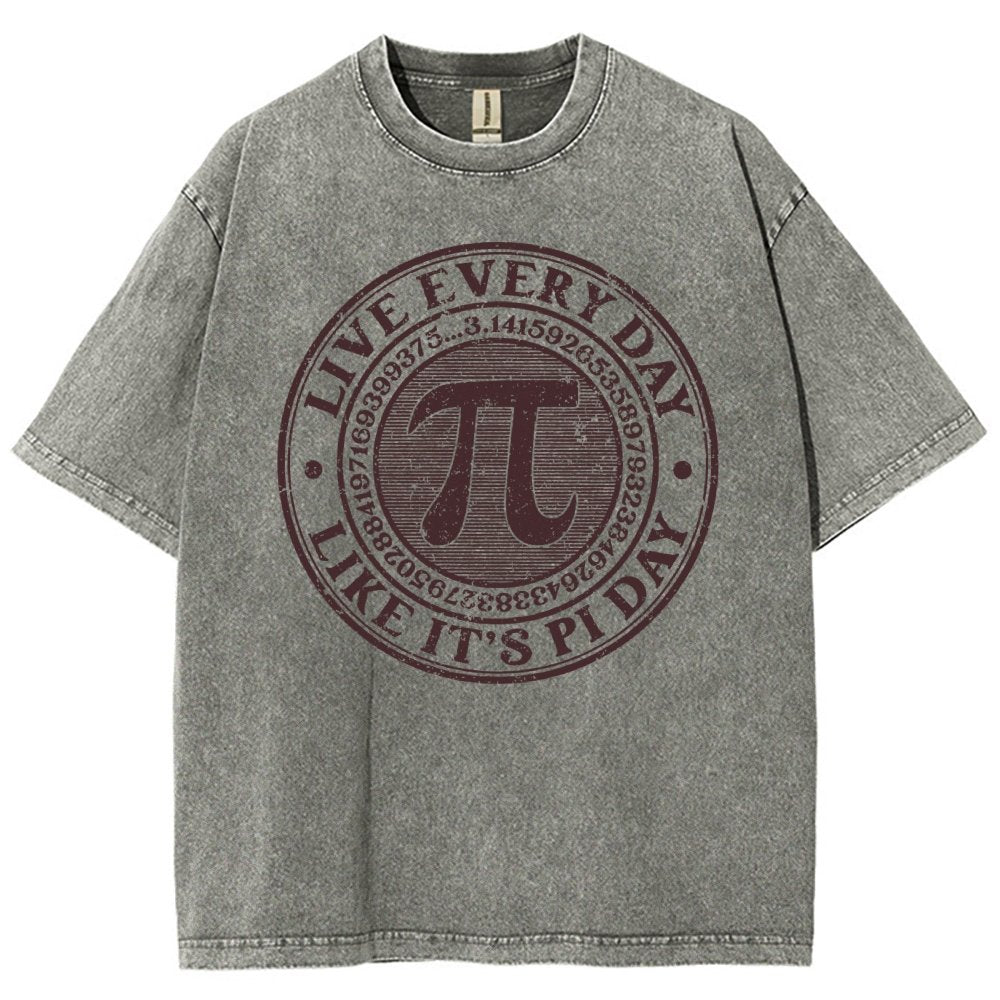 Vintage Pi Day Vintage Distressed T-shirt