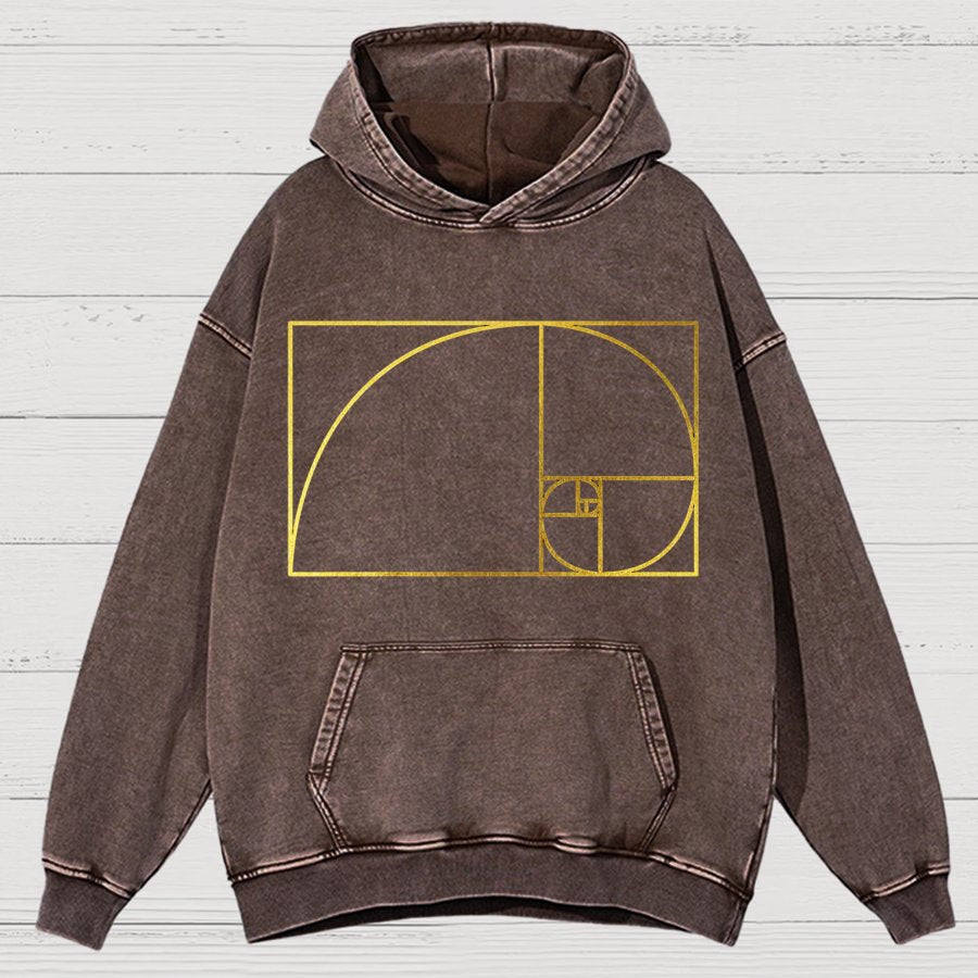 Distressed Fibonacci Spiral Geek Graphic Vintage Distressed Hoodie