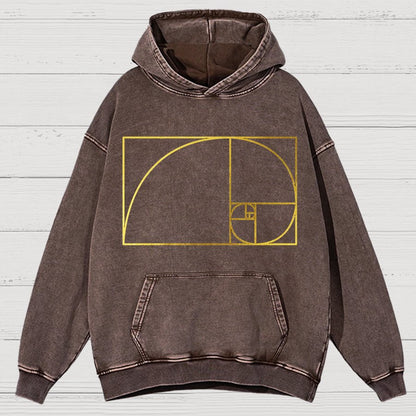 Distressed Fibonacci Spiral Geek Graphic Vintage Distressed Hoodie