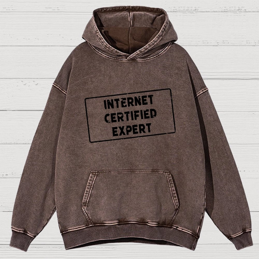 Internet Certified Expert Vintage Distressed Hoodie