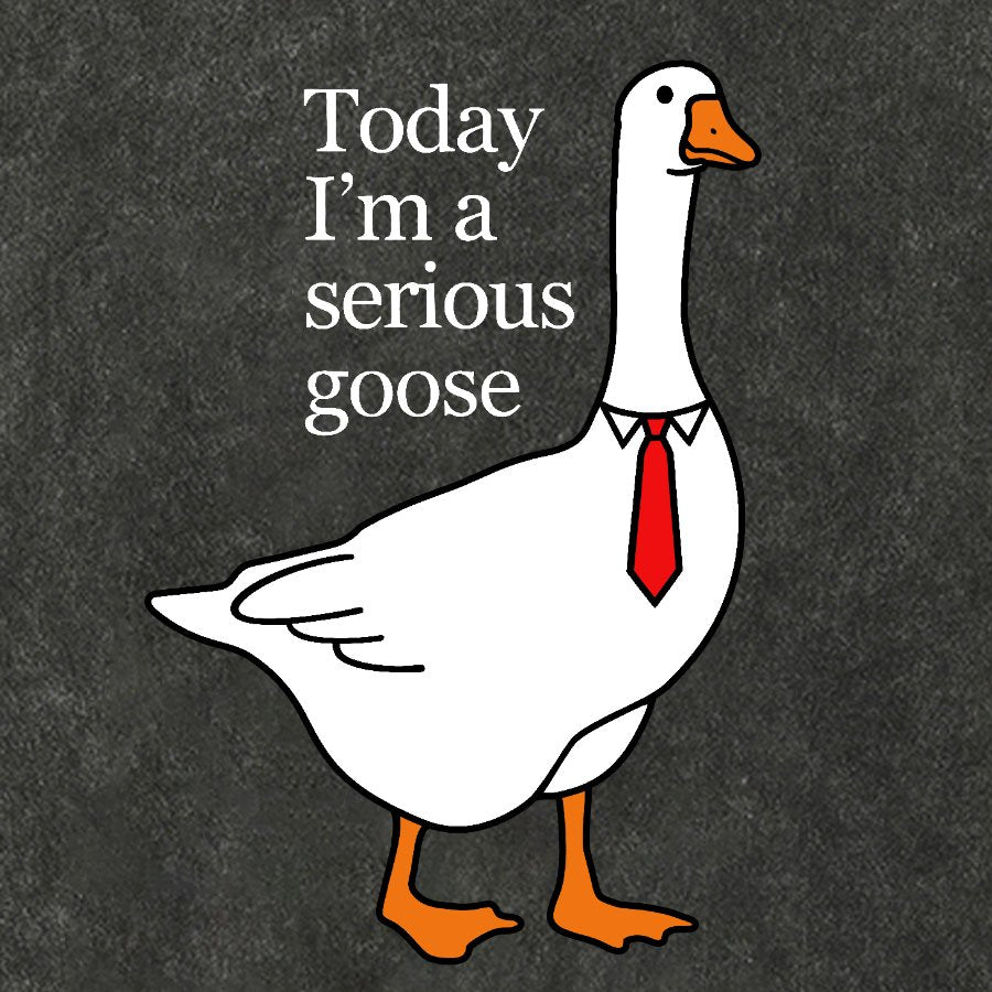 Today I'm A Serious Goose Vintage Distressed T-shirt