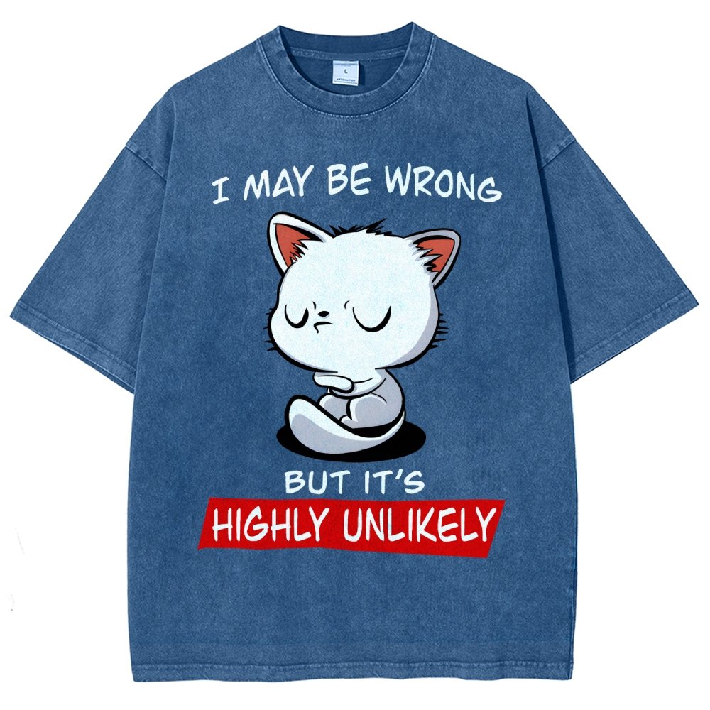 I May Be Wrong Vintage Distressed T-shirt