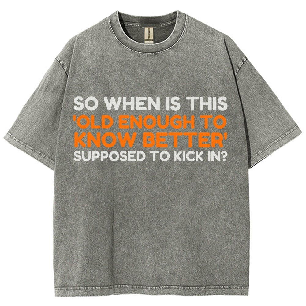 Old Enough To Know Better Vintage Distressed T-shirt
