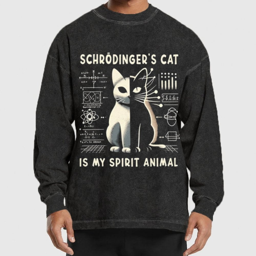 Schrodinger's Сat Science Washed Long Sleeve Tee