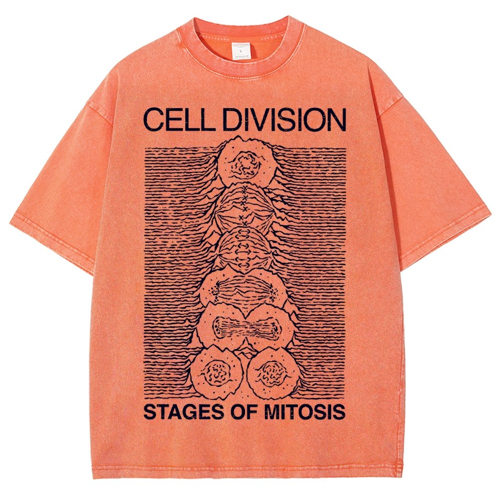 Cell Division- Stages of Mitosis Vintage Distressed T-shirt
