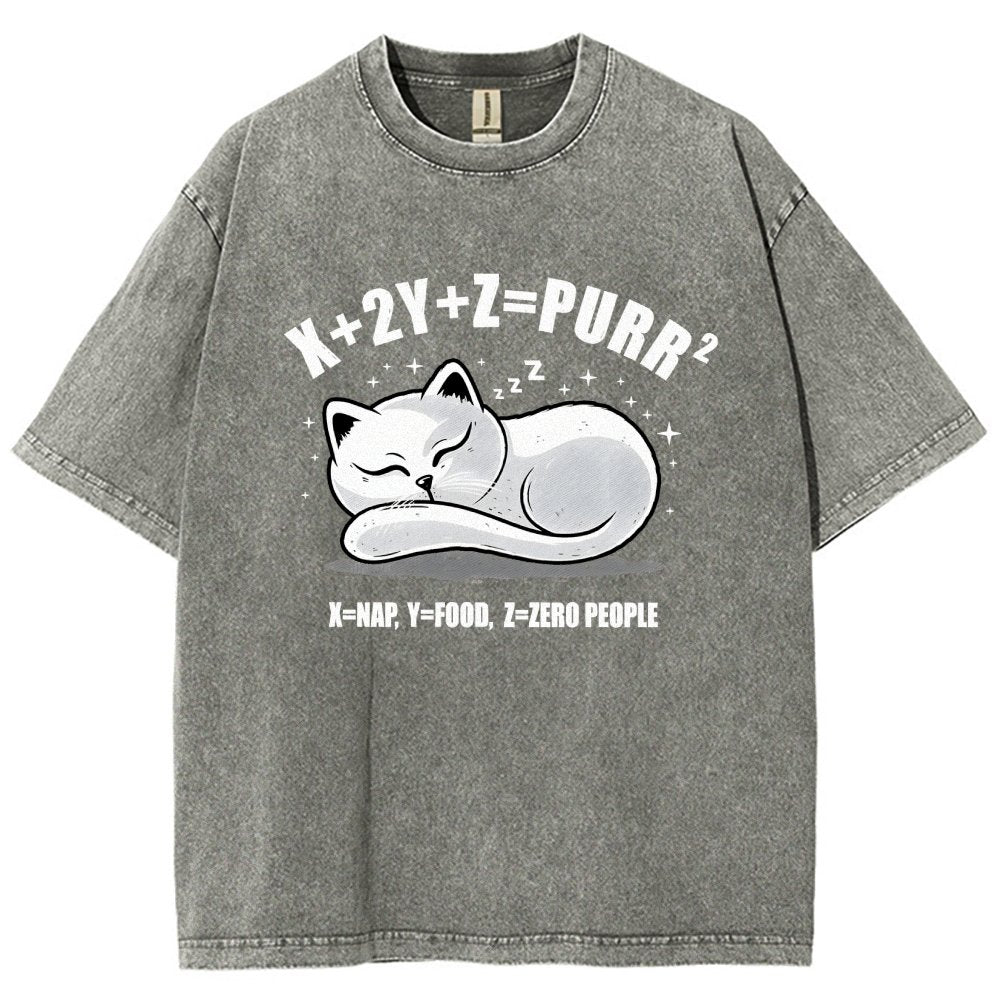 Purrfect Equation Vintage Distressed T-shirt