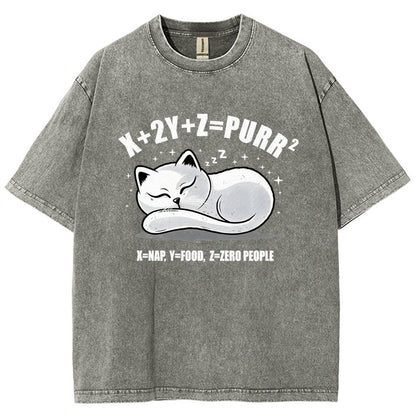 Purrfect Equation Vintage Distressed T-shirt