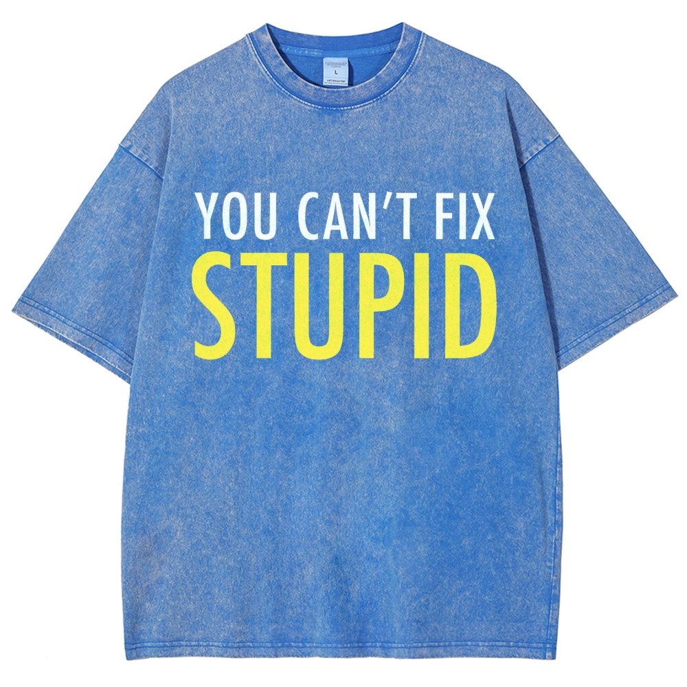 You Can’T Fix Stupid Vintage Distressed T-shirt