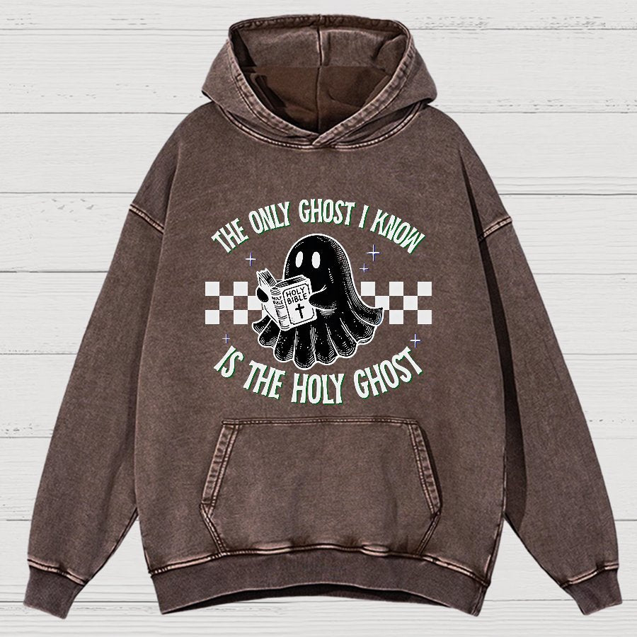 The Holy Ghost Vintage Distressed Hoodie