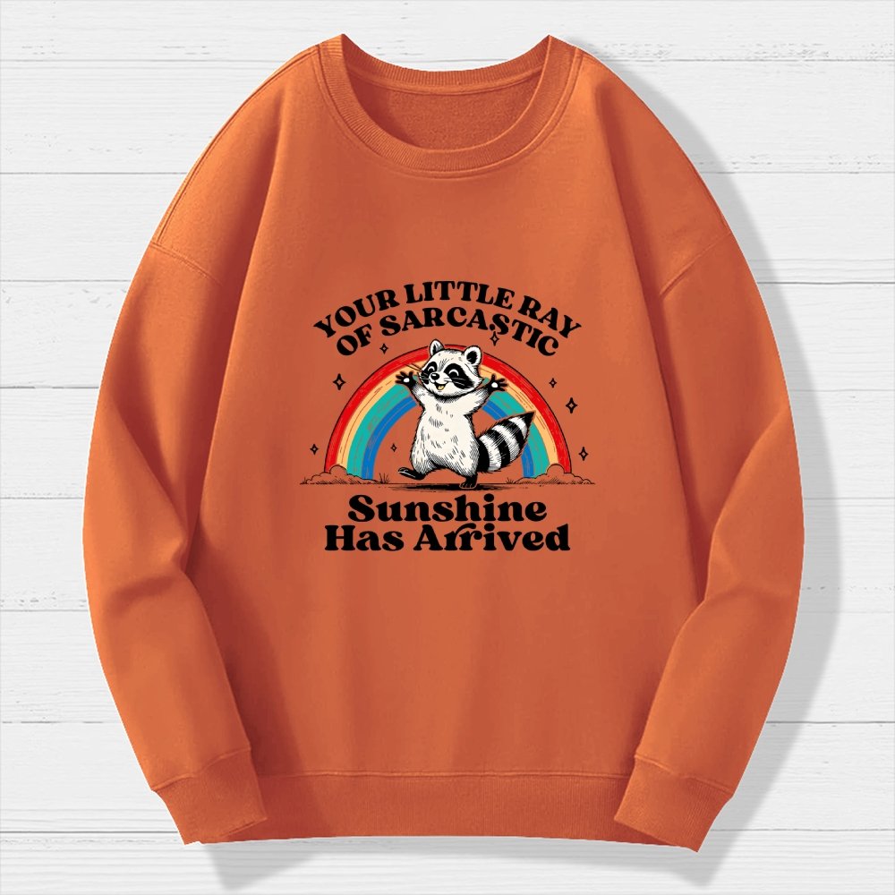 Your Little Ray of Sarcastic Sunshine Has Arrived Geek Cotton Sweatshirt