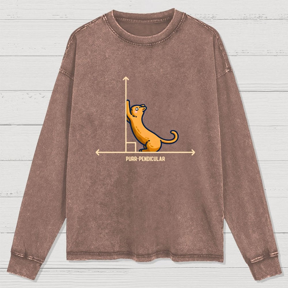 Purr-Pendicular Cute Maths Cat Premium Washed Long Sleeve Tee