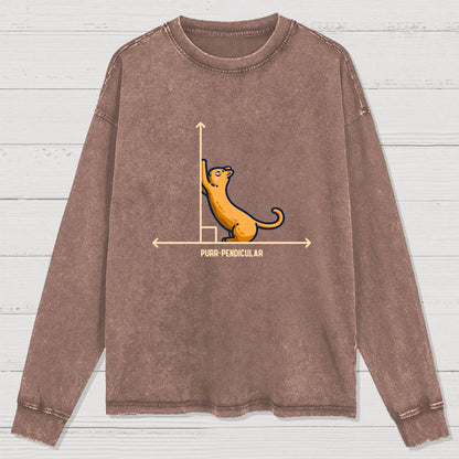 Purr-Pendicular Cute Maths Cat Premium Washed Long Sleeve Tee