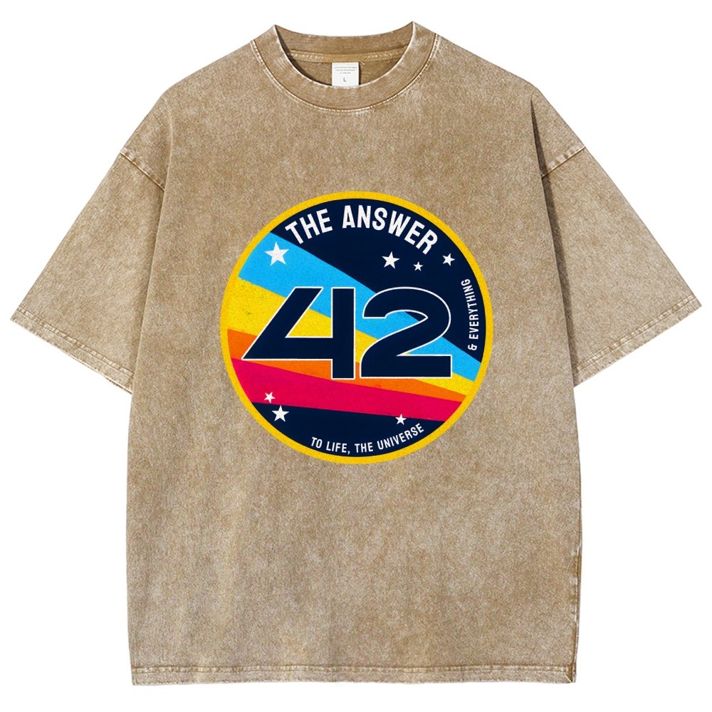The Answer is 42 Vintage Distressed T-shirt