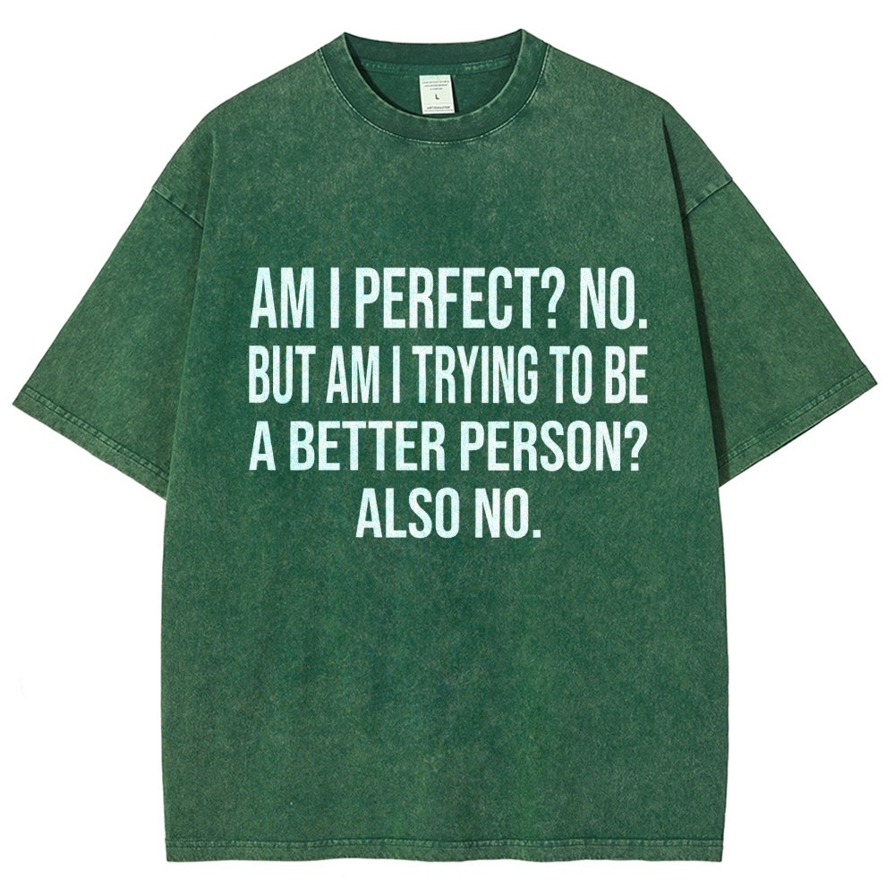 Am I Perfect No But Am I Trying To Be A Better Person Also No Vintage Distressed T-shirt