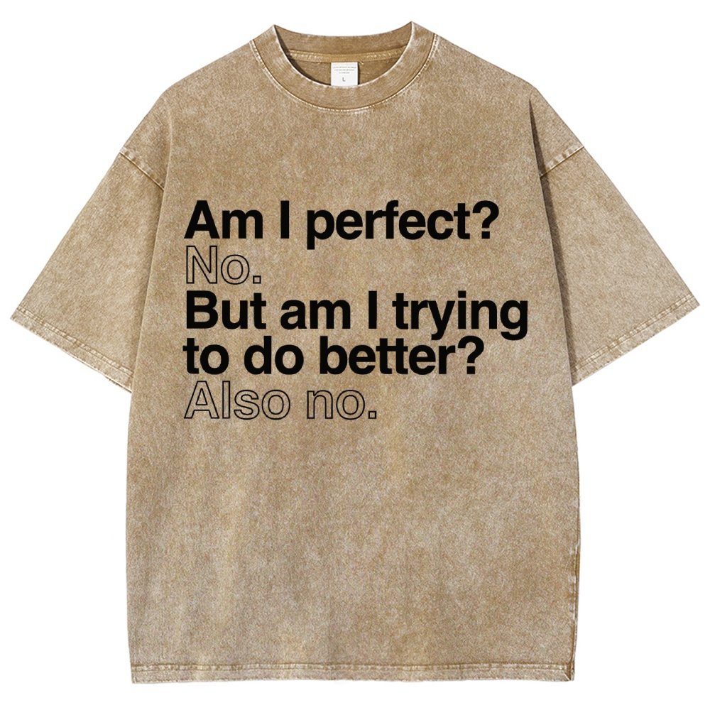 Am I Perfect? No. Am I Trying To Be Better Person Vintage Distressed T-shirt