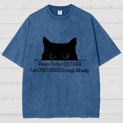 Please Do Not Disturb Vintage Distressed T-shirt