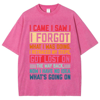 I Came I Saw I Forgot What I Was Doing Sarcastic Vintage Distressed T-shirt