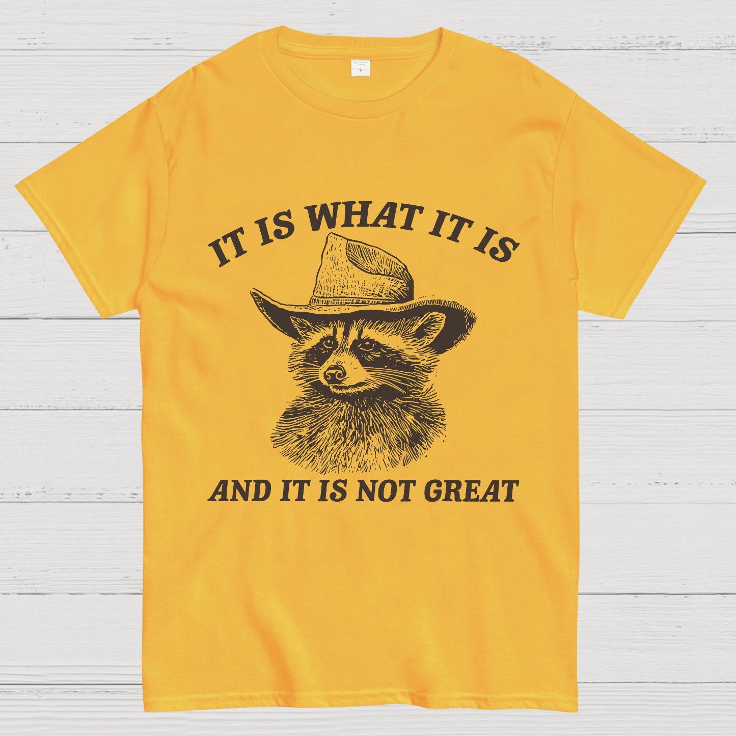 t Is What It Is And It Is Not Great Vintage Raccoon Geeky T-Shirt