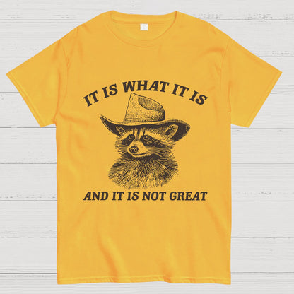 t Is What It Is And It Is Not Great Vintage Raccoon Geeky T-Shirt