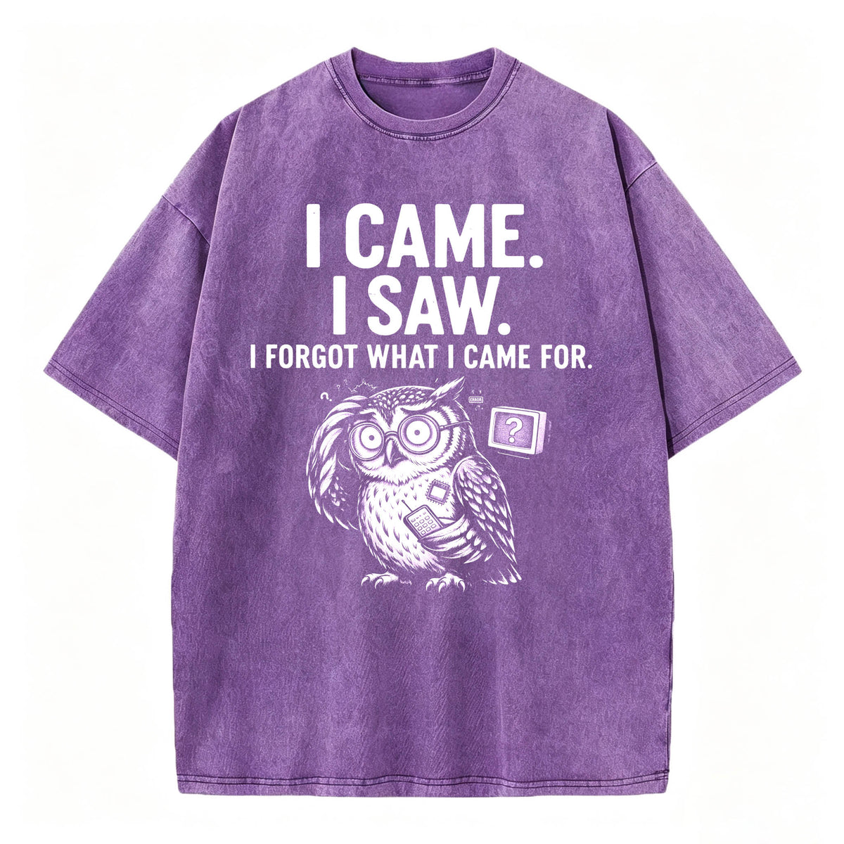 I Came. I Saw. I Forgot What I Came For. Funny Owl Vintage T-Shirt