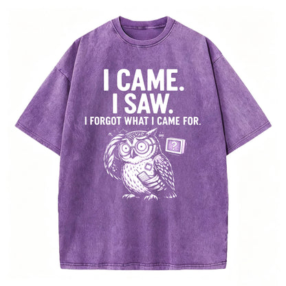 I Came. I Saw. I Forgot What I Came For. Funny Owl Vintage T-Shirt