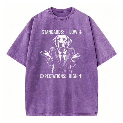 Standards Low Expectations High Funny Sarcastic T-Shirt