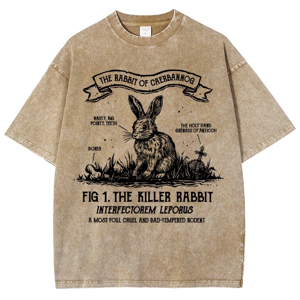 The Rabbit of Mysterious Place Vintage Distressed T-shirt