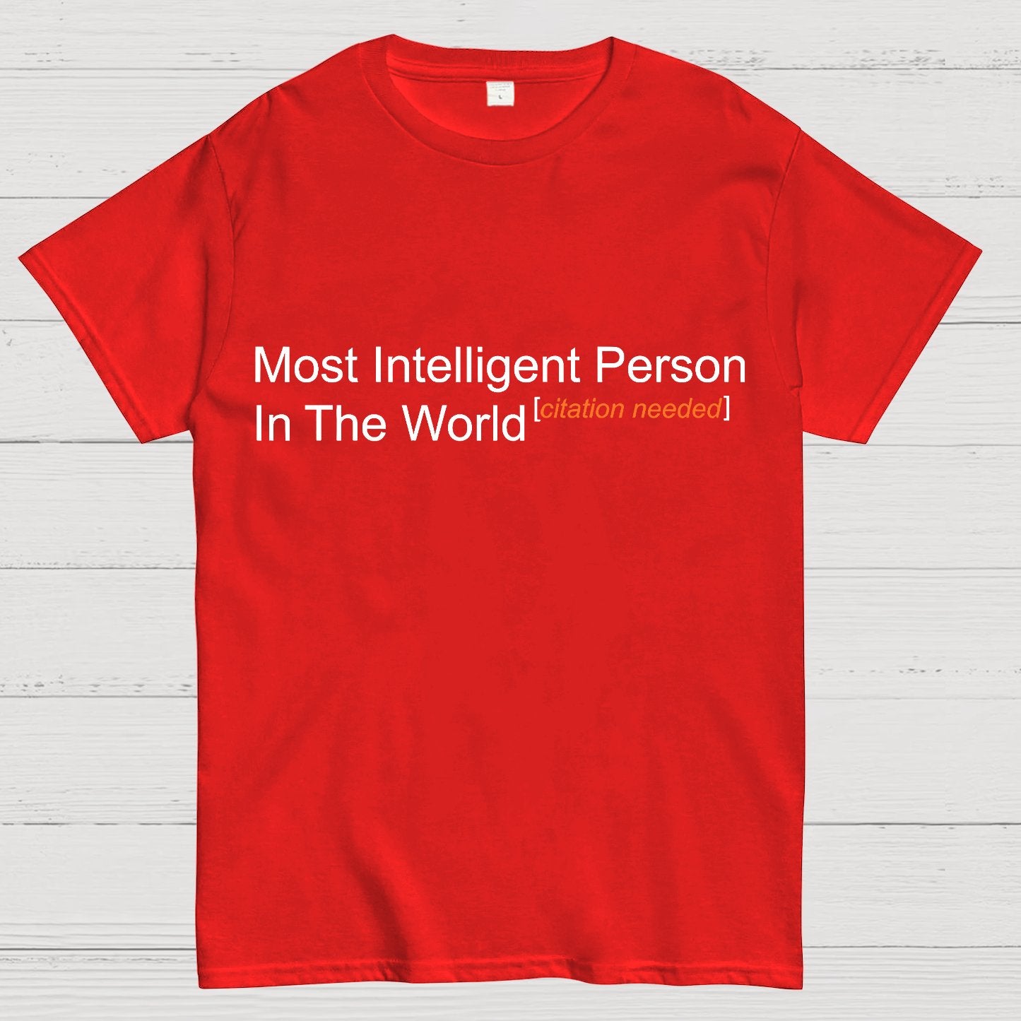 Most Intelligent Person In The World Geek T-Shirt