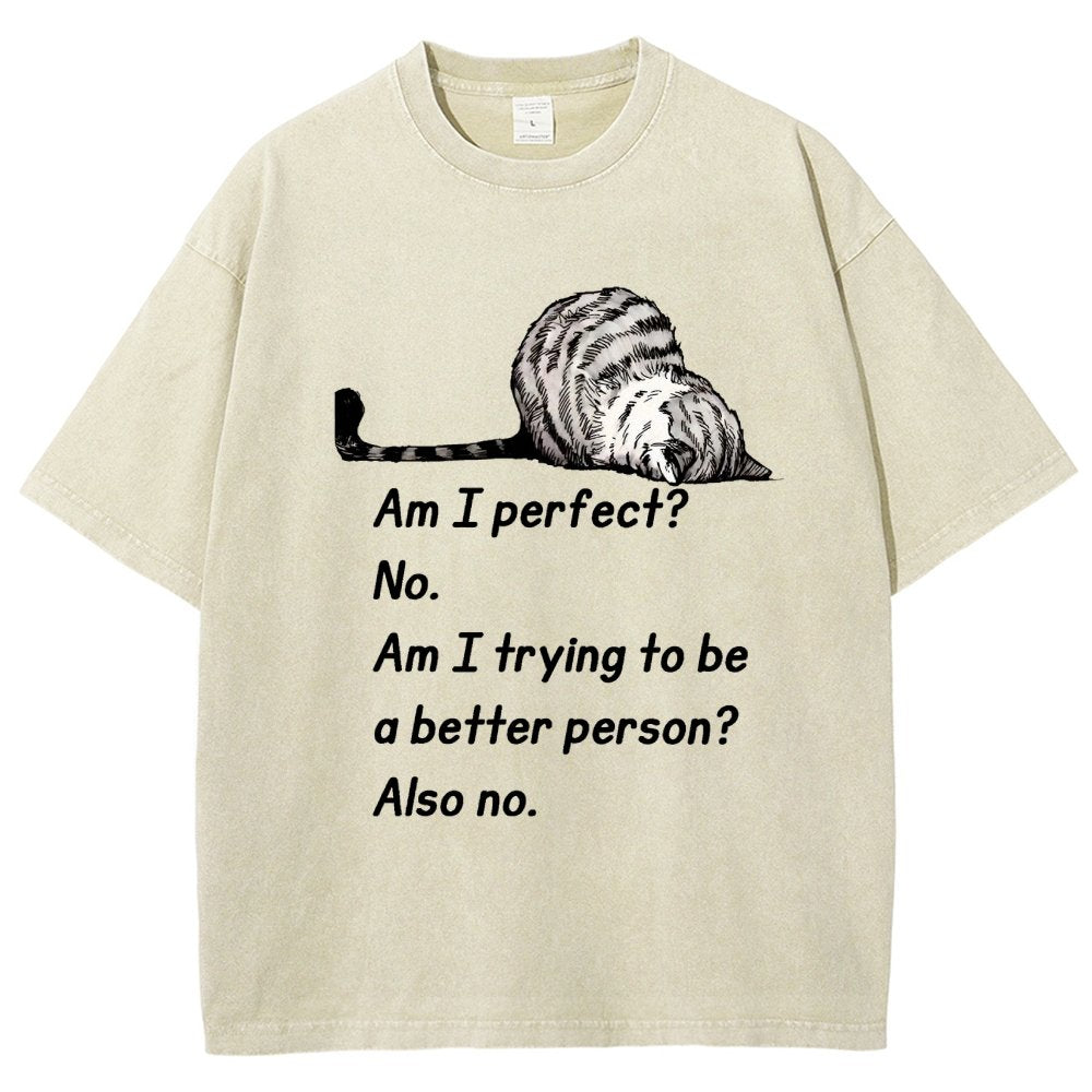 Am I Perfect No Vintage Distressed T-shirt
