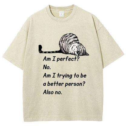 Am I Perfect No Vintage Distressed T-shirt