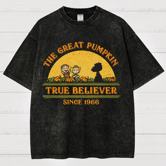 True Believer Since 1966 .Vintage Distressed T-shirt