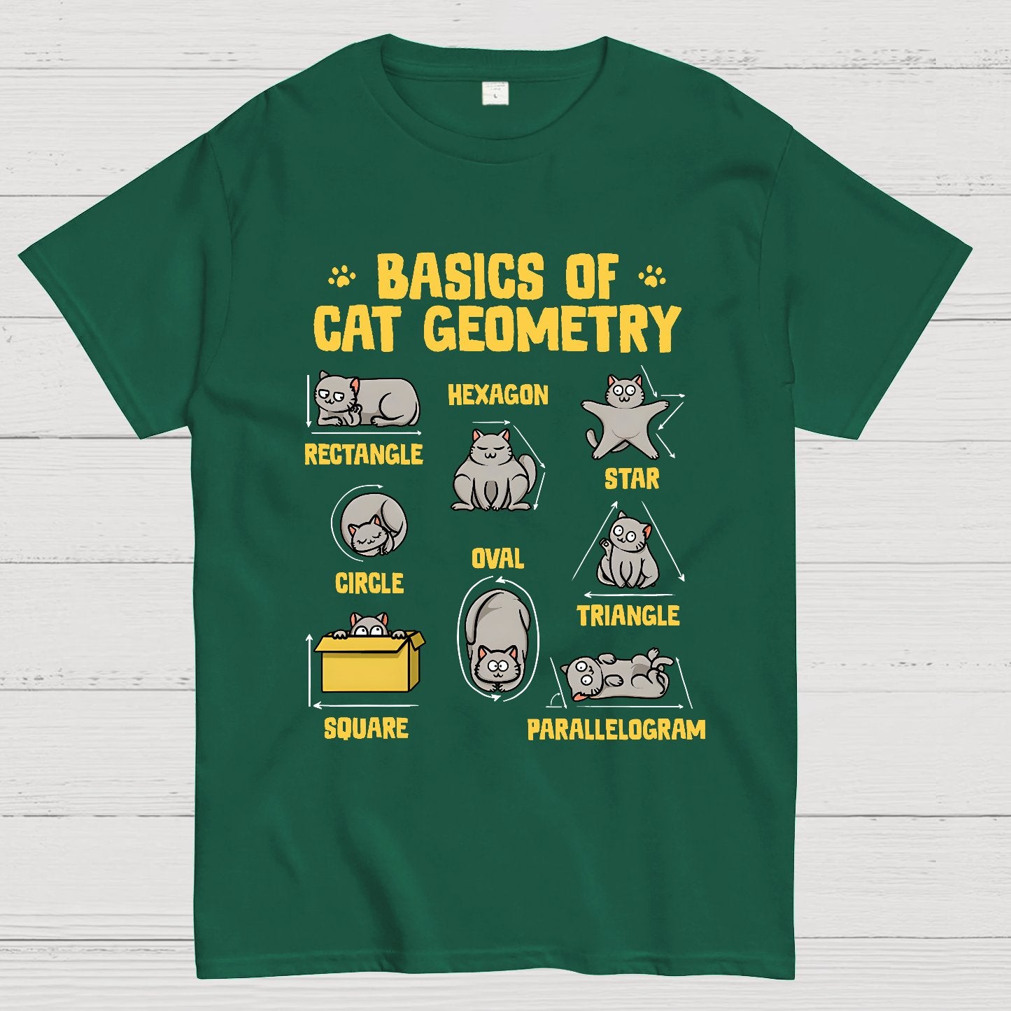 Basics of Cat Geometry Geek T-Shirt