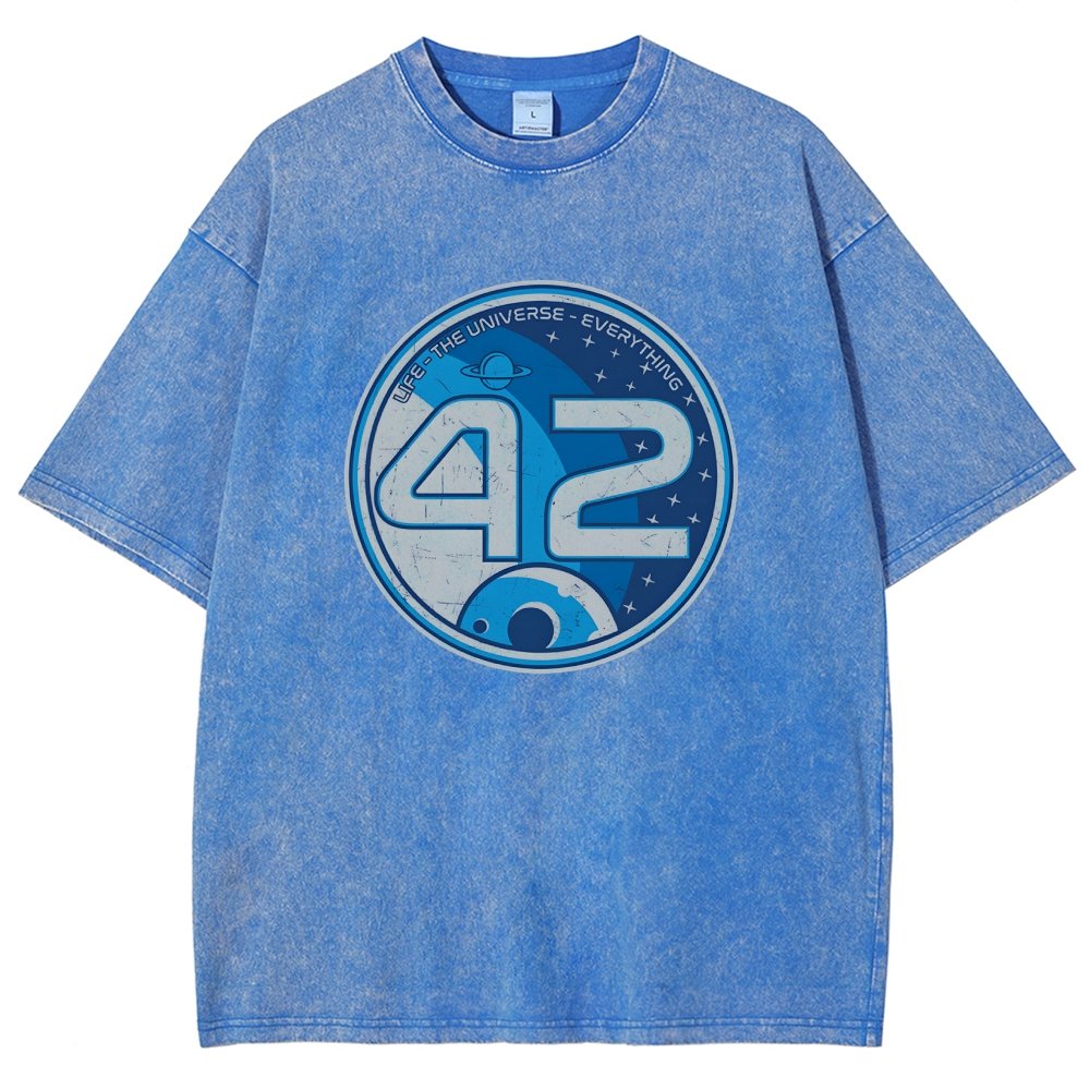 42- The Answer Vintage Distressed T-shirt