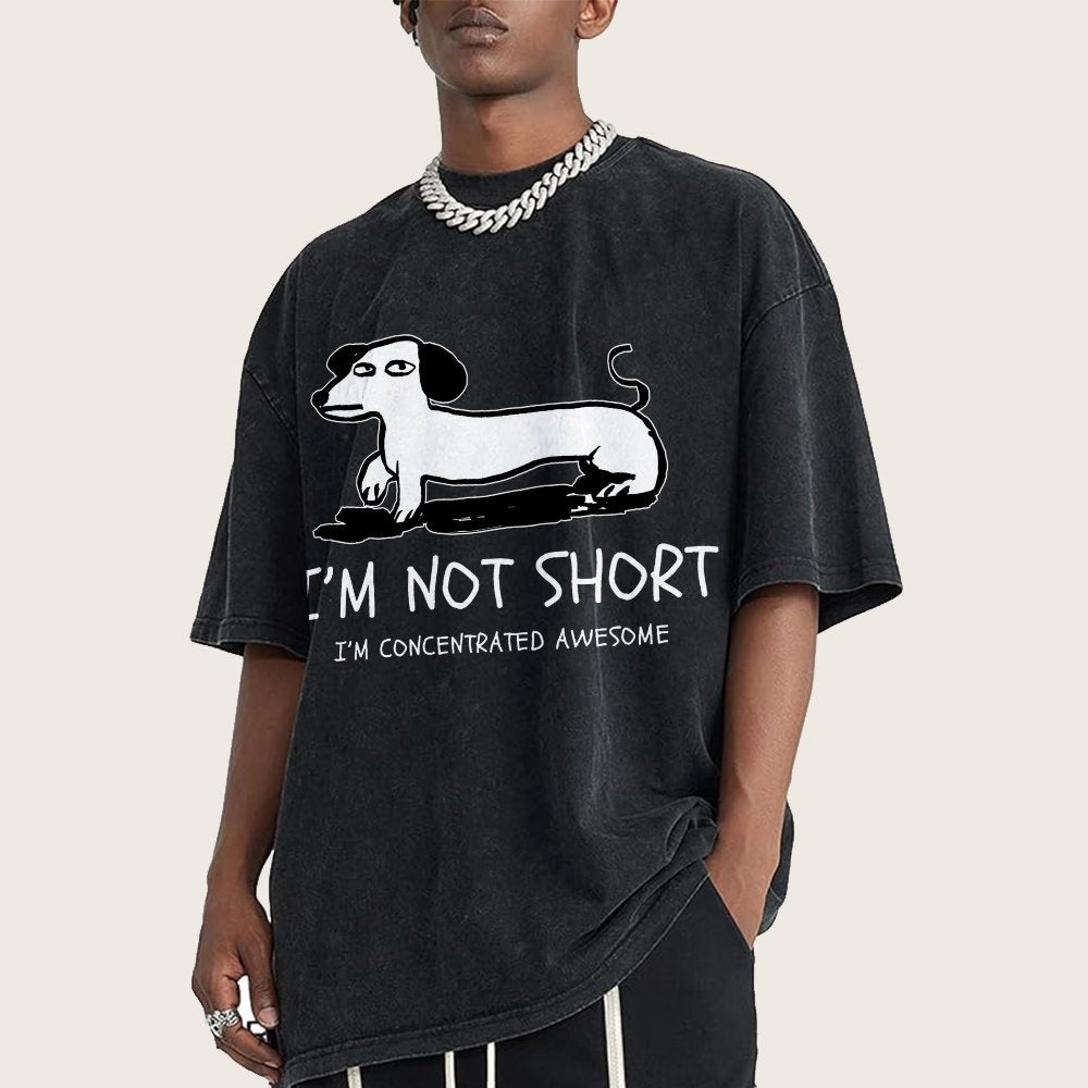 I'm Not Short Vintage Distressed T-shirt